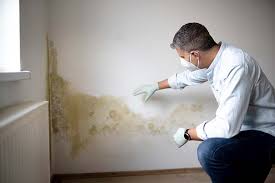 Best Mold Removal for HVAC Installations in Westminster, CA